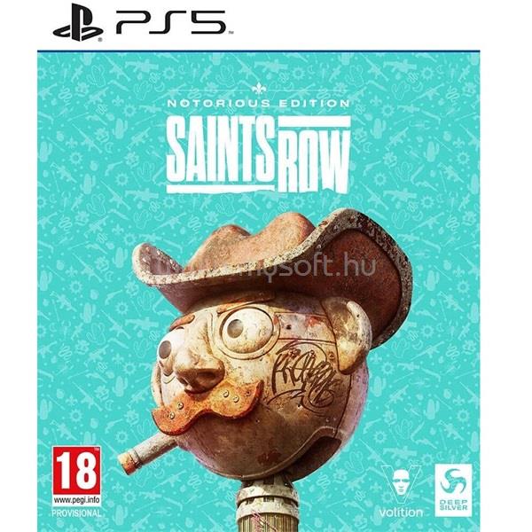 PLAION Saints Row Notorious Edition PS5 játékszoftver