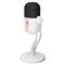 RAMPAGE Mikrofon - ARPEJ (állvány, RGB, kardioid, 50 Hz-18 kHz, fehér) RAMPAGE_42797 small