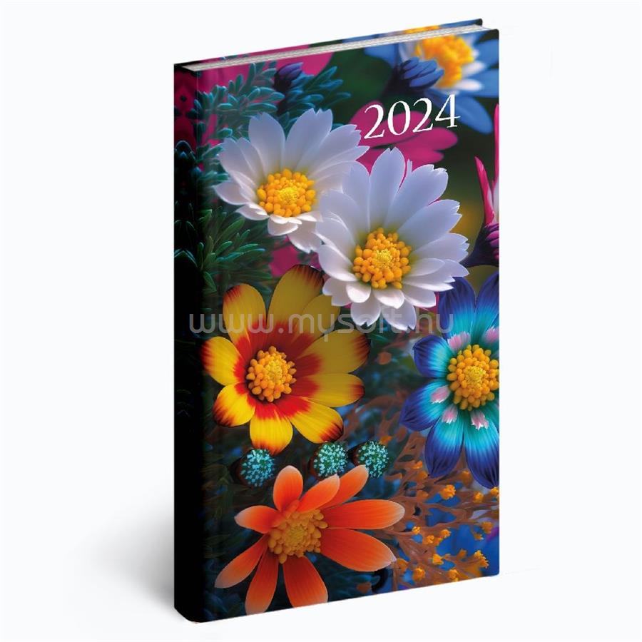 REALSYSTEM 2024-es Picture 5811-72 szirmok álló zsebnaptár