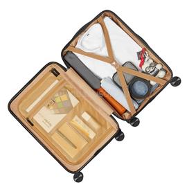 RIVACASE 8181 ECO Hardshell carry-on hand cabin luggage 20