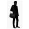 SAMSONITE 35074-1041, LAPT.BAILHANDLE 14.1