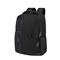SAMSONITE Biz2Go 14,1