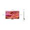 SAMSUNG QE65QN90FATXXH 65
