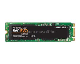 SAMSUNG SSD 1TB M.2 2280 SATA 860 EVO MZ-N6E1T0BW small