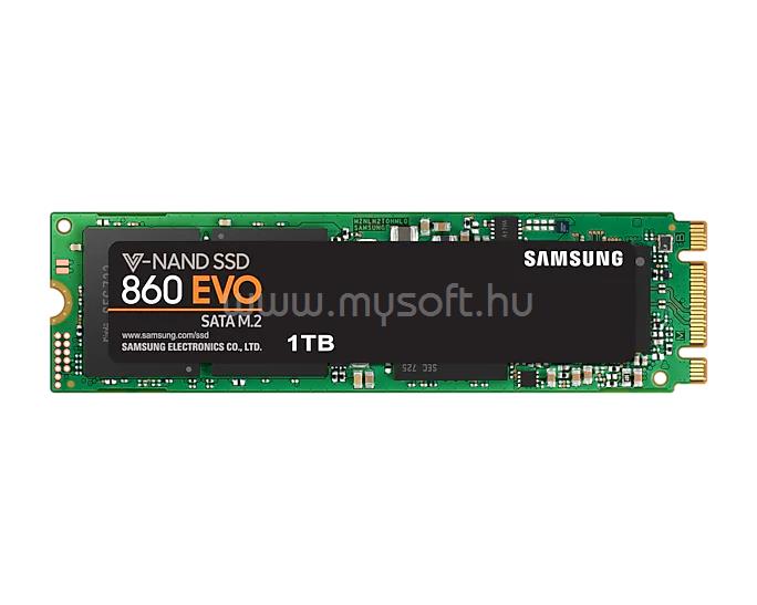 SAMSUNG SSD 1TB M.2 2280 SATA 860 EVO