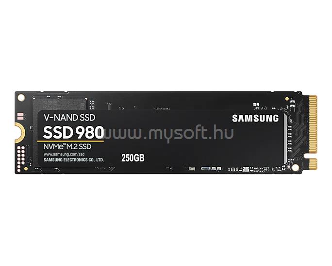 SAMSUNG SSD 250GB M.2 NVMe PCIe Gen 3.0 x4 980