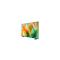 SAMSUNG UE85M80HAUXXH Mini LED 4K UHD Smart TV, 215 cm UE85M80HAUXXH small