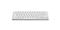 SATECHI Slim EX1 Wireless Keyboard - US English - Silver ST-KEX1S-EN small