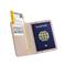 SATECHI Vegan-Leather FindAll Passport Cover - Desert Rose ST-VPCR small