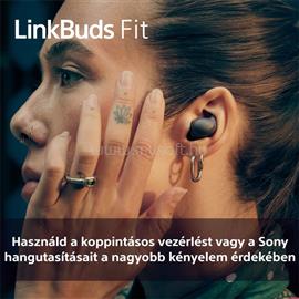 SONY WF-LS910N Linkbuds Fit zajszürős True Wireless Bluetooth fülhallgató (fekete) SONY_WFLS910NB.CE7 small