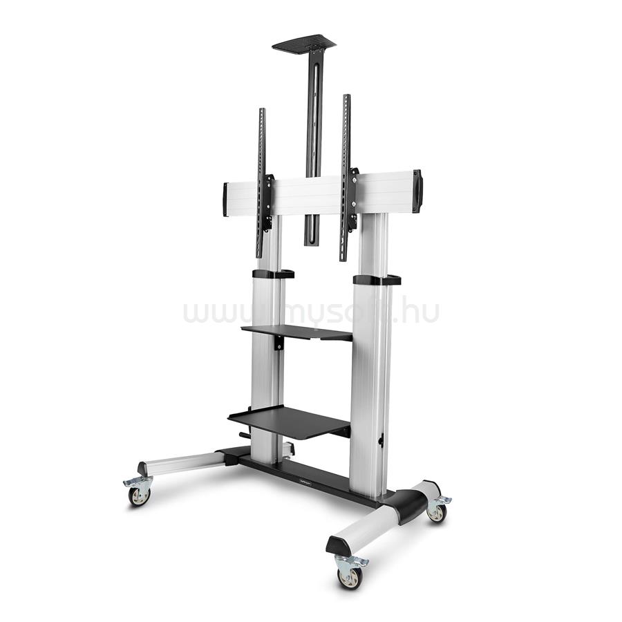 STARTECH Rolling TV Cart/Stand On Wheels For 60-100inch Flat Screens Up To 220lb (100kg)