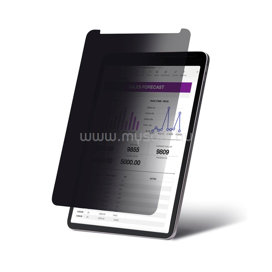 STARTECH 4-Way Privacy Screen For 11-inch iPad Pro M3