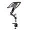 STARTECH Desk Mount Laptop Arm - Full Motion Articulating Arm for Laptop or Single 34