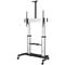 STARTECH Mobile TV Stand - Heavy Duty TV Cart for 60-100