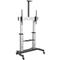 STARTECH Mobile TV Stand - Heavy Duty TV Cart for 60-100