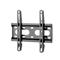 STELL SHO 4200 Slim 23