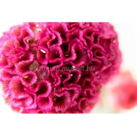 TAMRON 25-200mm F/2.8-5.6 DiIII VXD G2 Sony A075S small