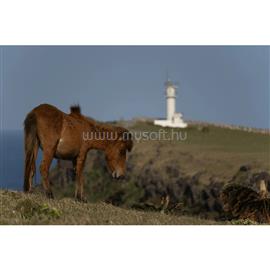 TAMRON 28-300mm f/4-7.1 Di III VC VXD (SONY) A074S small