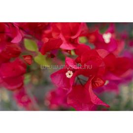 TAMRON 28-300mm f/4-7.1 Di III VC VXD (SONY) A074S small