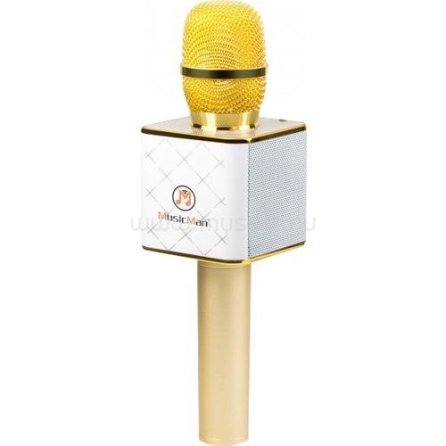 TECHNAXX MUSICMAN KARAOKE BT-X31GOLD GRAY KARAOKE BT-X31 GOLD-WHITE