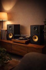 THONET & VANDER Kugel Gen 2 BT 2.0 speaker Black HK096-03547-2 small