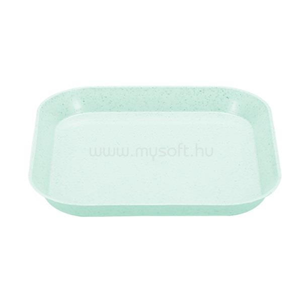TOO KT-115 5db-os vegyes színekben búzaszalma műanyag tányér szett, 15×15×1.5cm