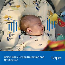 TP-LINK Tapo C206 Indoor/Outdoor Home Security Wi-Fi Camera TAPO_C206 small