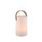 TRIO R57080101 Aruba 1W 70lm 3000K fehér asztali lámpatest TRIO_R57080101 small