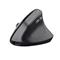 TRUST 25145 Bayo II Ergonomic vezeték nélküli egér (fekete) TRUST_25145 small