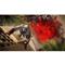 UBISOFT Assassin`s Creed Mirage Xbox One/Xbox Seris játékszoftver UBISOFT_3307216258551 small