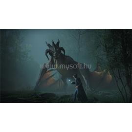 WARNER BROS Hogwarts Legacy PS4 játékszoftver WARNER_BRIOS_5051895413418 small