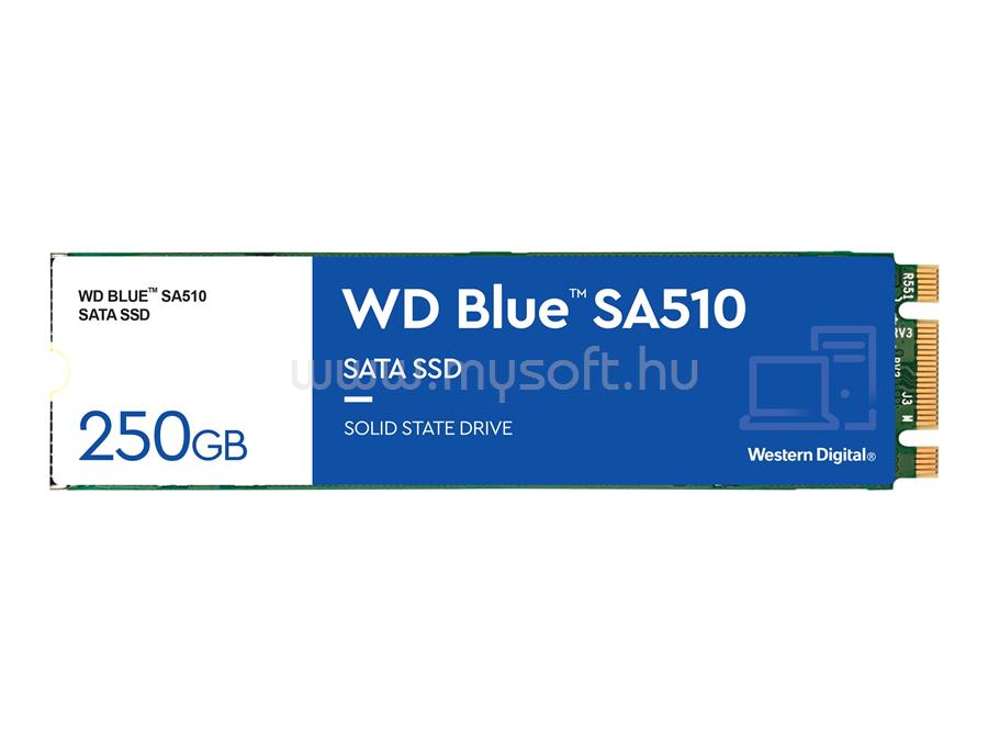 WESTERN DIGITAL SSD 250GB M.2 2280 SATA WD Blue SA510