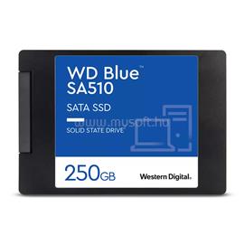 WESTERN DIGITAL SSD 250GB 2.5" SATA WD Blue WDS250G3B0A small
