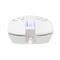 WHITE SHARK GM-5018W CARADOC-B 7D / 7200 dpi RGB gamer vezetékes egér (fehér) WS_GM-5018W small