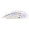 WHITE SHARK GM-5018W CARADOC-B 7D / 7200 dpi RGB gamer vezetékes egér (fehér) WS_GM-5018W small