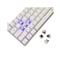 WHITE SHARK SHINOBI-2/W-BR-US mechanikus barna switch gamer vezetékes billentyűzet amerikai angol lokalizáció (fehér) WS_GK-004231W/BR-US small