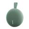 XIAOMI Bluetooth Speaker Essential green QBH4330GL small