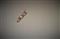 ACER Aspire A515-56G-54MR (ezüst) NX.A1LEU.002 small