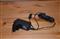 ACER Aspire one D270 (Ballon) NU.SGNEU.002 small