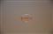 DELL Vostro 3560 Aberdeen Silver V3560_149094 small