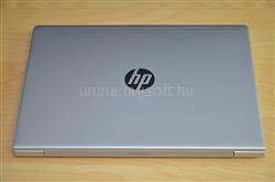 HP ProBook 445 G6 6MQ09EA#AKC_N1000SSDH1TB_S small