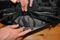 LENOVO ThinkPad Business Topload Case (15,6